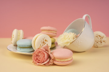 Multicolored macaroons cake are placed in a saucer and a cup along with buds of a carnation and roses on a yellow and pink background
