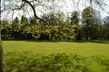 Fototapeta premium Castillo idílico