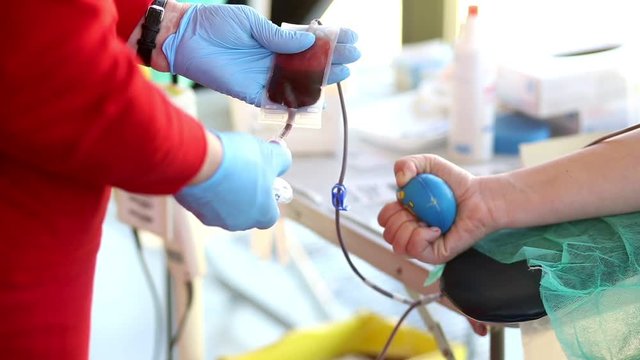 Blood donator donates blood in the hospital

