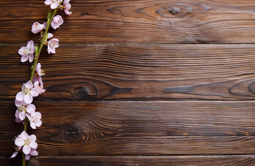 Single spring flowering branch with a lot of pink blossoms on brown wooden background. Rustic composition, many spring tree flowers on vintage wood textured table. Close up, copy text space, top view.