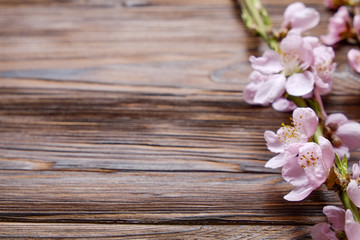 Naklejka na ściany i meble Bunch of spring flowering branches with a lot of pink blossoms on dark brown wooden background. Rustic composition with spring flowers on vintage textured wood table. Close up, copy space, top view.