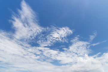 blue sky, white clouds, in the tropics, with silhouettes of seabirds hovering in the altitude