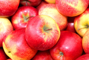 Fototapeta na wymiar background of red big apples for sale