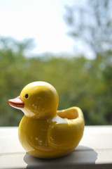A yellow duck container with green plants bokeh. Very cute and good for use as background.