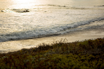 Tide Rolling in at Sunset 04