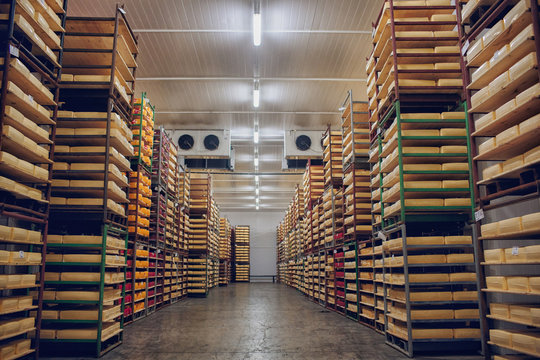 shelves with cheese factory
