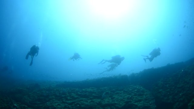 Backlit divers