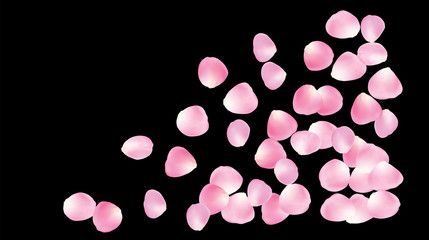 Wedding Sakura Cherry, Rose Petals Floral Confetti. Shower Vector Peach Apple Blossom Soft Sakura Cherry and Rose Confetti Falling Down. Windy Floral Design, Natural Cosmetics Decoration.