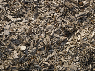 Sharp splinters of wood