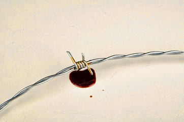 Blood drop on barbed wire