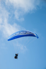 Paraglider in action