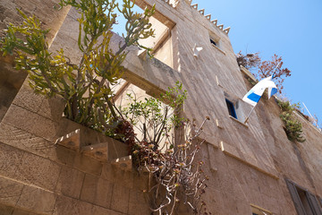 Cactus branches emerge from an empty window in building with Flag of Israel in Tel Aviv-Jaffa