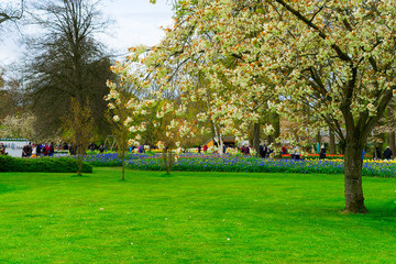 Formal spring garden