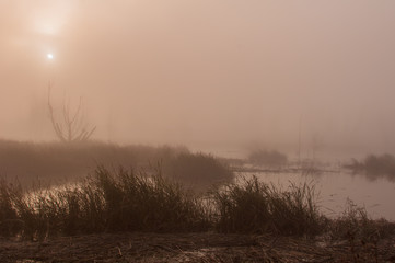 Fog & Sun in a Tidal Marsh Gives Landscape a Sepia Toned Look