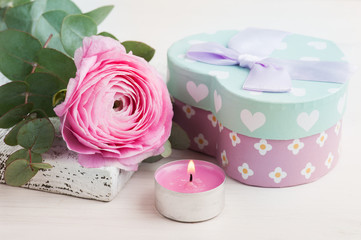 Obraz na płótnie Canvas Pink buttercup flower with gift box