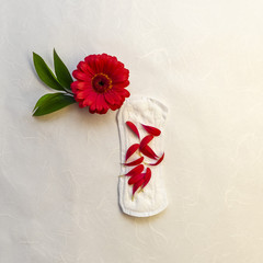 Menstruation calendar with notebook, cotton tampons, red flower. Woman critical days, woman hygiene...