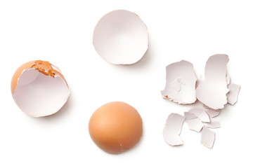 Egg Shell Isolated on White Background