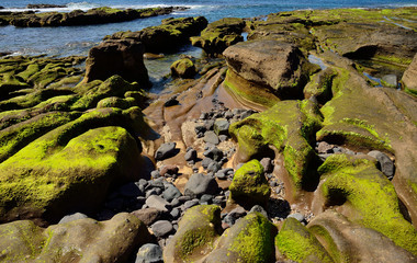 Naklejka na ściany i meble Rocks with peculiar shapes at low tide, The confital, Gran canaria, Canary islands
