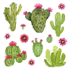 Raamstickers Cactus aquarel handgeschilderde cactus. geïsoleerde elementen
