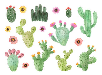 watercolor hand painted cactus. isolated elements