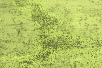 Wall fragment with scratches and cracks