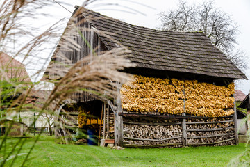 Typical Old Barn (Double Hayracks) In Slovenia