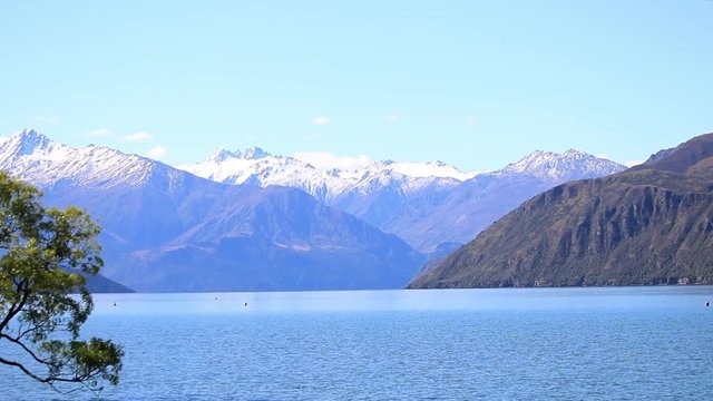 New Zealand lake wanaka tree and mountains