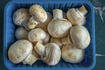 Fresh mushrooms in a blue plastic box. Dark background, close-up