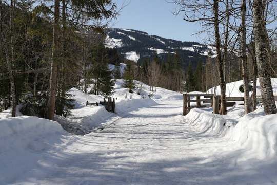 Spazierweg in der Natur Hinterhalt