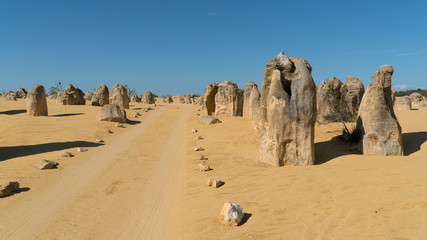 Pinnacles Desert, Nambung National Park, Western Australia