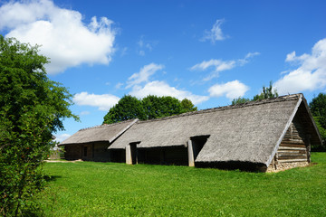 Obraz premium Summer in the countryside, rural landscape