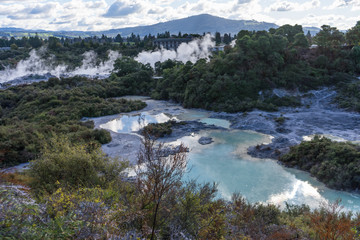 Naklejka na ściany i meble Geysers and hot springs in Rotorua, New Zealand