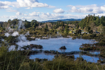 Fototapeta na wymiar Maiori Village, Rotorua, New Zealand