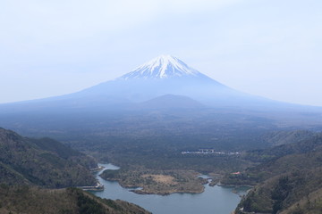Fototapeta premium 富士山