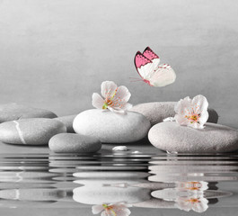 Obraz premium kwiat i kamień zen spa na powierzchni wody i szarym tle