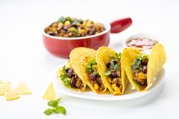 Mexican food - delicious tacos