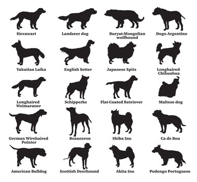 Set of dogs silhouettes-7