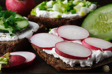 sandwiches with sour cream, onions and radishes and sliced radish