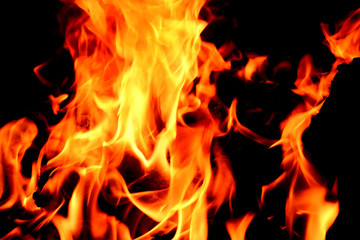 Closeup of fire flame and wood burning in  fireplace.