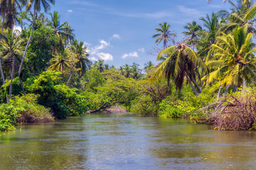 Obraz premium Dutch canal in Negombo.