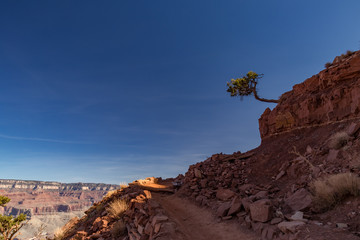 Naklejka premium South Kaibab Trail in Grand Canyon National Park, Arizona, USA