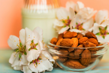 Fototapeta na wymiar Almond with jar of almond milk and white flowers