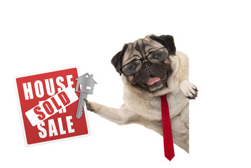 smiling business pug dog with glasses and tie, holding up red house sold sign and key, isolated on white background