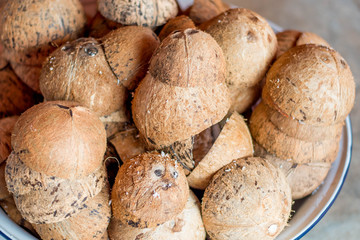 Pile of discarded coconut shells.