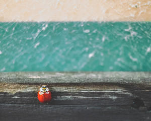 Obraz premium Red ladybug resting on wood, teal, and cream background