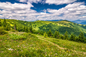 Spring landscape with flowery meadows and the mountain peaks, blue sky with clouds in the background. Velka Fatra National Park, Slovakia, Europe.
