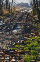 Road without coverage. A dirt rutted road outside of town. Dirt road.