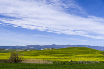 Fototapeta premium hill landscape at spring with sky and meadow
