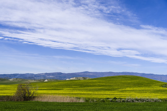 hill landscape at spring with sky and meadow