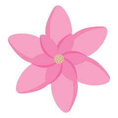 pink flower icon over white background, colorful design.  vector illustration